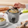 Dash 2-Cup Electric Mini Rice Cooker - Graphite: Small Rice Maker, Automatic Keep Warm, Includes Recipes & Accessories