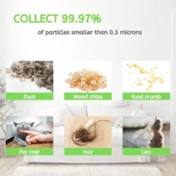 Nispira HNVCF10 Vacuum Cleaner Replacement Filter Compatible With BLACK+DECKER Handheld Vacuum, Fit Models HNVC220BCP07 HNVC215BW52 And More, 3 Packs -Baxton Studio Shop GUEST 030dade5 2d58 49e4 9bb8 33046e179075