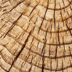 Indoor/Outdoor Faux Concrete Stump Accent Table Brown - Threshold™ Designed With Studio McGee 9 Indoor/Outdoor Faux Concrete Stump Accent Table Brown - Threshold™ Designed With Studio McGee -Baxton Studio Shop GUEST 03deabfd 2b62 4725 94b4 09a321ea8678