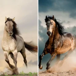 6" Double Sided Galloping Horses Canvas Room Divider - Oriental Furniture -Baxton Studio Shop GUEST 06ef48f6 673a 4b8b b6aa b8f87c2ed2e0