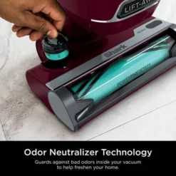 Shark Detect Lift-Away Corded Upright Vacuum With Self-Cleaning Brushroll -Baxton Studio Shop GUEST 0fbbbc5c 1f0f 41ac 9b93 de3233fa3001