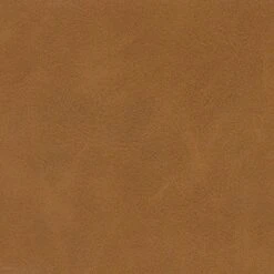 Theodore Bench - HomePop 20 Theodore Bench - HomePop -Baxton Studio Shop GUEST 17bc06c6 bfb2 49a8 8001 5eaa721ef074