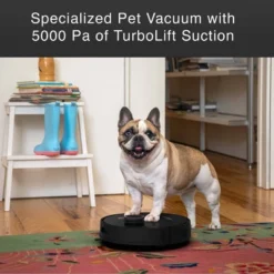 BObsweep Orb-i Robot Vacuum Cleaner In Blackberry -Baxton Studio Shop GUEST 2ca2e6a5 c2a8 4000 abd8 8e30c7e0dc9f