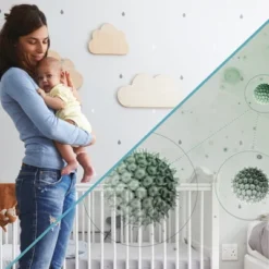 Shark Pet Bagless Corded Canister Vacuum - CZ351 -Baxton Studio Shop GUEST 7f79dfd3 4a24 4e00 ade1 9422f36e01de