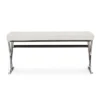 Herald Modern And Contemporary Stainless Steel And Faux Leather Upholstered Rectangle Bench - White - Baxton Studio