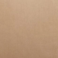 Vernon Upholstered Barrel Swivel Chair Light Brown Velvet - Threshold™ Designed With Studio McGee -Baxton Studio Shop GUEST 920567cb 3e0a 40bb ba54 dcccfcf02390