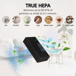 Nispira EX201 Pre-Motor Vacuum Filter Replacement For Shark CarpetXpert EX201 EX150 EX150C EX200 EX300 Upright Deep Carpet Cleaners, 12 Packs -Baxton Studio Shop GUEST d097d1d0 bc52 4397 a727 5c485c574131