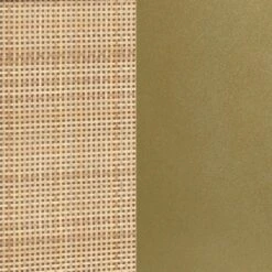 47" Mina Rattan And Wood 2 Door TV Cabinet For TVs Up To 59" White/Gold - Nathan James -Baxton Studio Shop GUEST f33cac7b 7613 4152 9335 4e9eb77c1fef